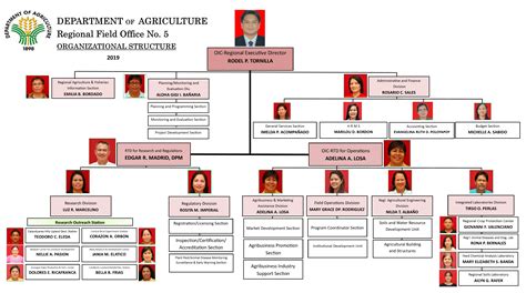 Organizational Chart HDMF.